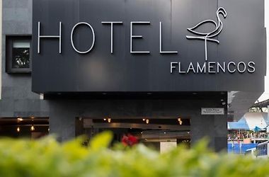 HOTEL FLAMENCOS MÉXICO DF 4* (México) - desde 1204 MXN | BOOKED